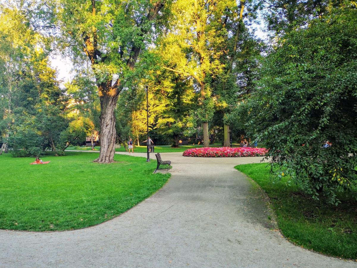 Basic, Quiet Apartment Close To Main Square Krakow Dış mekan fotoğraf